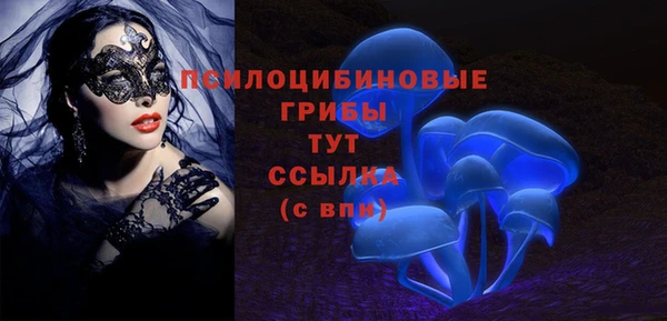 метадон Алексеевка